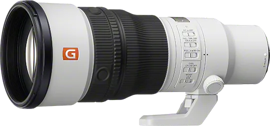 Sony FE 600mm F6.3 GM OSS