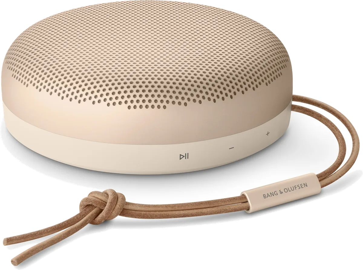 Bang & Olufsen Beosound A1 2nd Gen