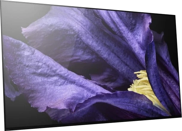 Sony BRAVIA AF9